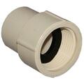 Genova Products 50305 0.5 in. CPVC Female Pipe Thread Adapter 344887